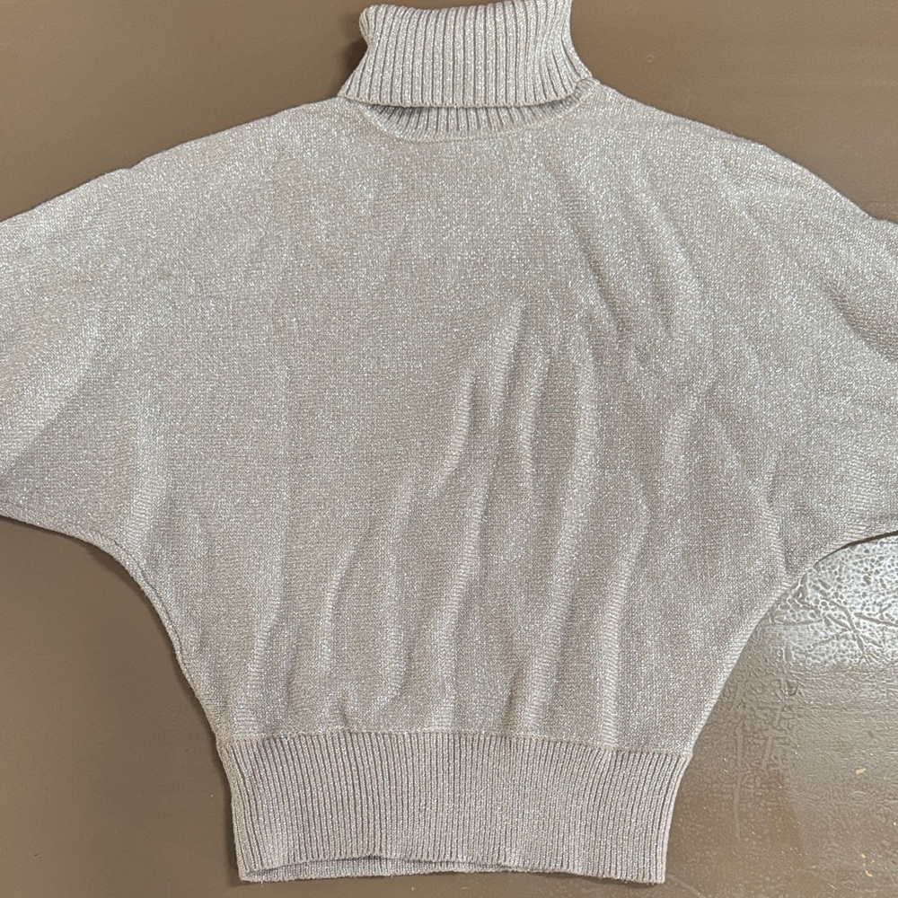 Philosophy Shimmering Silver Turtleneck Sweater